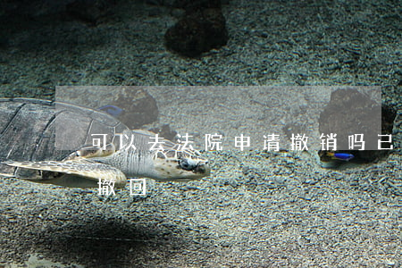 可以去法院申请撤销吗(已经诉讼了,还能不能撤回?)