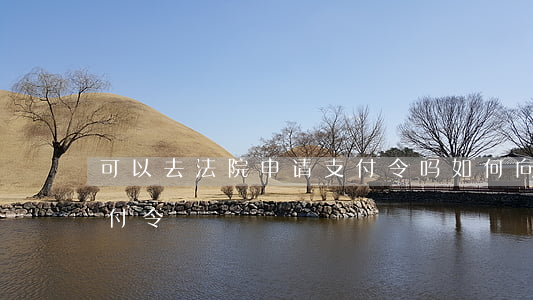 可以去法院申请支付令吗(如何向法院申请支付令?)