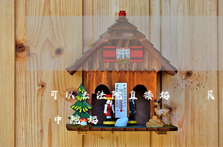 可以去法院直接起訴嗎(民事訴訟可以直接去中院起訴嗎)