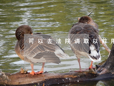 可以去法院调取以前用过的证据吗