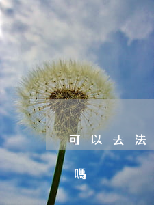 可以去法院起訴交警嗎(可以去法院起訴交警嗎)