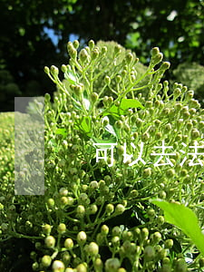 可以去法院起訴分家嗎(分家官司怎么打)