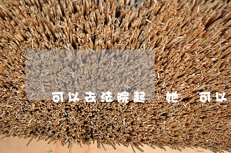 可以去法院起訴她嗎(可以去法院起訴她嗎)
