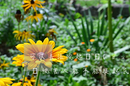 可以去法院起訴對(duì)方盜竊罪嗎(盜竊被害人能不能提起民事訴訟)