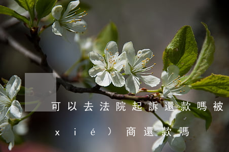 可以去法院起訴還款嗎(被起訴了還可以協(xié)商還款嗎)