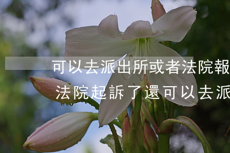 可以去派出所或者法院報(bào)案嗎(在法院起訴了還可以去派出所報(bào)案嗎)
