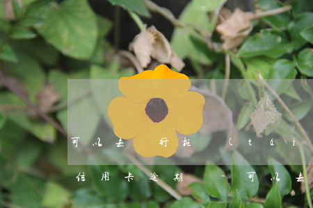 可以去銀行柜臺(tái)協(xié)商信用卡逾期嗎-可以去銀行柜臺(tái)協(xié)商信用卡逾期嗎