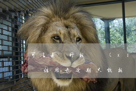 可以去銀行柜臺協(xié)商信用卡逾期嗎（信用卡逾期只能柜臺還款）