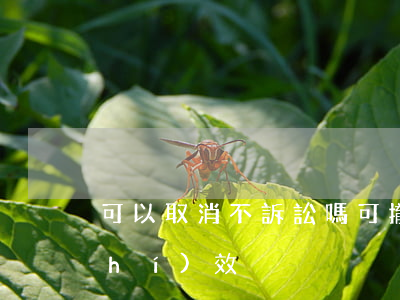 可以取消不訴訟嗎(可撤銷之訴的訴訟時(shí)效)