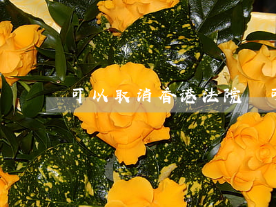 可以取消香港法院嗎(可以取消香港法院嗎)