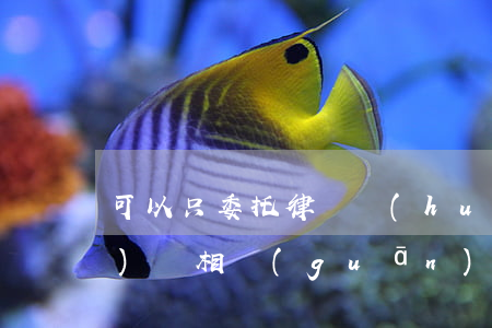 可以只委托律師會(huì)見(jiàn)嗎相關(guān)問(wèn)答(禁止律師會(huì)見(jiàn)簽署民事委托)