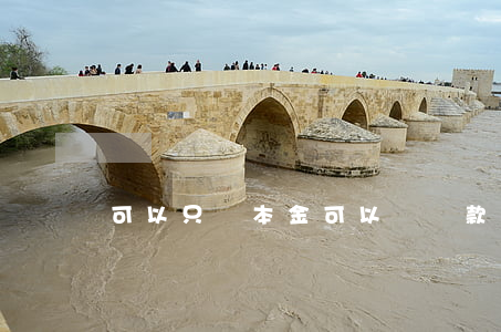 可以只還本金可以嗎(貸款能不能只還本金)