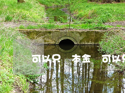可以只還本金嗎(可以只還本金嗎)