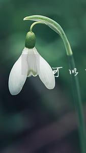 可以叫法院去找人嗎