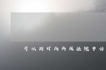 可以同时向两级法院申诉信访吗