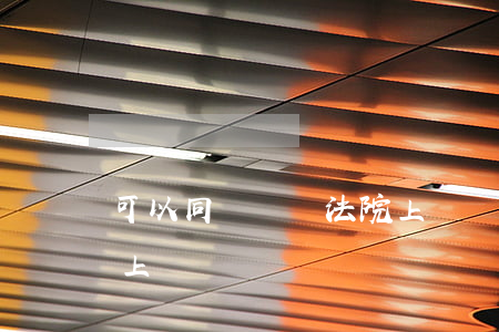 可以同時兩個法院上訴嗎(幾個原告可以一起上訴嗎?)