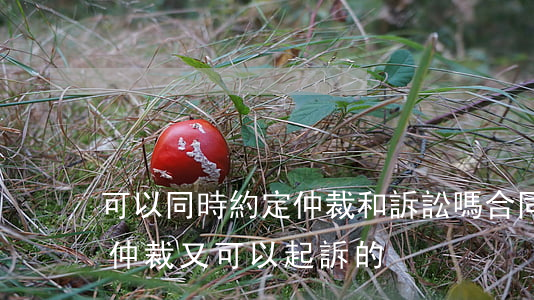 可以同時約定仲裁和訴訟嗎(合同約定既可以仲裁又可以起訴的)