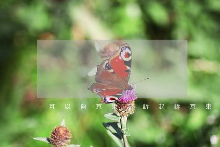 可以向京東起訴(起訴京東商城)