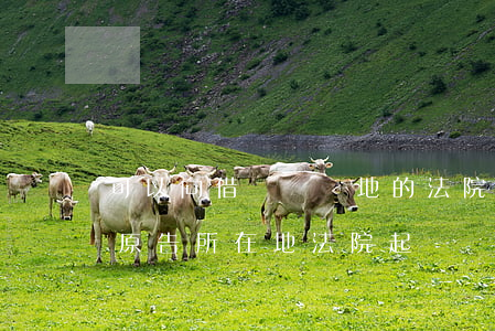 可以向借條簽訂地的法院起訴嗎(借款可以在原告所在地法院起訴嗎)