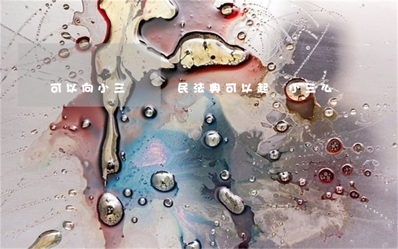 可以向小三訴訟嗎(民法典可以起訴小三么)
