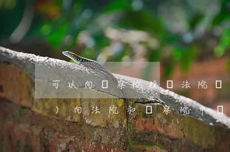 可以向檢察院投訴法院嗎(可以同時(shí)向法院和檢察院申訴嗎)