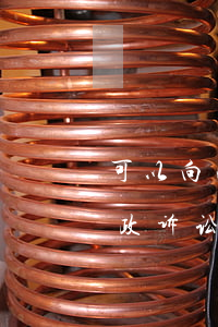 可以向法院提出行政诉讼吗(可以直接提起行政诉讼吗)