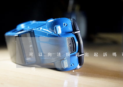 可以向法院提出起訴嗎(可以向法院提出起訴嗎)