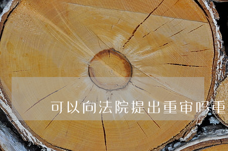 可以向法院提出重审吗(重审可以提起反诉吗)
