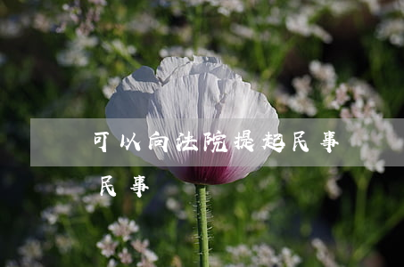 可以向法院提起民事訴訟嗎(可以向法院提起民事訴訟嗎)