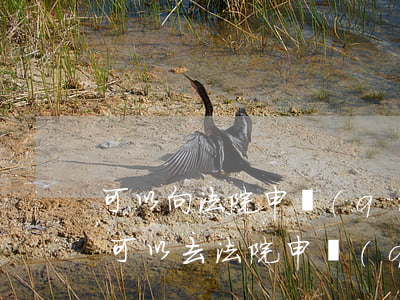 可以向法院申請(qǐng)使用支付令嗎(可以去法院申請(qǐng)支付令嗎)