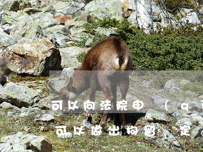可以向法院申請(qǐng)拘留他嗎(法院可以做出拘留決定嗎)