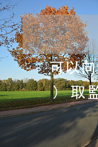 可以向法院申請(qǐng)調(diào)取監(jiān)控錄像嗎(可以向法院申請(qǐng)調(diào)取監(jiān)控錄像嗎)