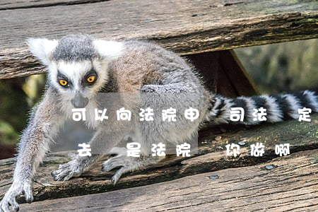 可以向法院申請司法鑒定嗎(司法鑒定是自己去還是法院給你做啊)