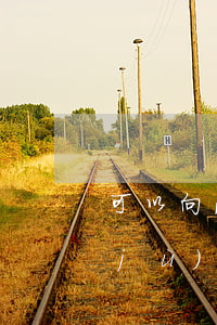 可以向法院申請證據(jù)保全嗎(證據(jù)保全法律依據(jù))