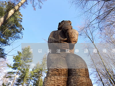 可以向法院申請離婚嗎(去法院起訴離婚的條件)