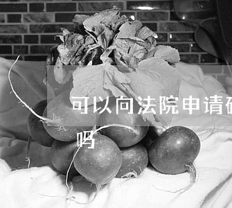 可以向法院申请破产吗(可以向法院申请破产吗)
