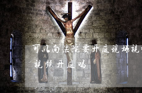 可以向法院要开庭现场视频吗(法院开庭可以视频开庭吗)