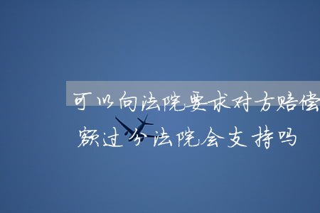 可以向法院要求对方赔偿吗(原告要求赔偿金额过分法院会支持吗)