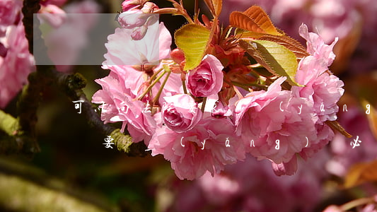 可以向法院要求撫養(yǎng)費嗎(被起訴要撫養(yǎng)費必須要給嗎)