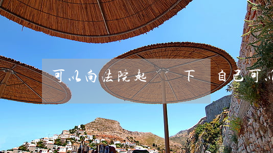 可以向法院起訴嗎下載(自己可以向法院起訴嗎)