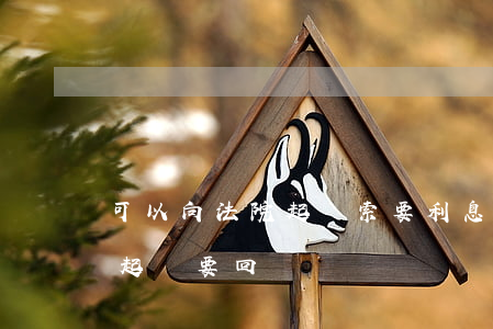 可以向法院起訴索要利息嗎(有利息的借款能起訴要回嗎)