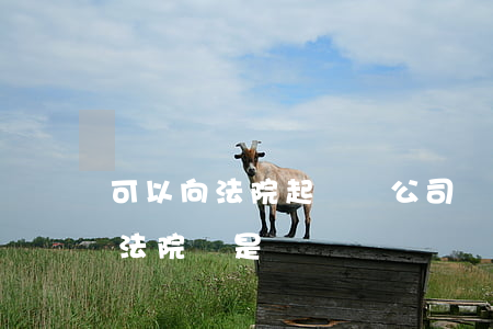可以向法院起訴該公司嗎(起訴公司在公司地法院還是?)