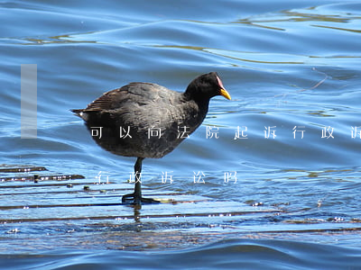可以向法院起诉行政诉讼吗(可以向法院起诉行政诉讼吗)