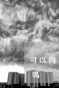 可以向百度律師問題嗎(百度上找的律師靠譜嗎)