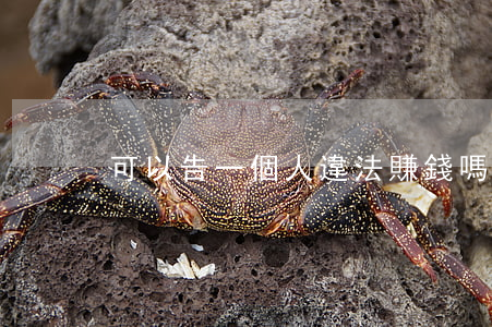 可以告一個人違法賺錢嗎(專門起訴別人賺錢)