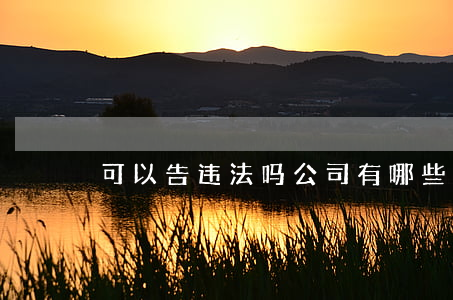 可以告违法吗(公司有哪些违法的事情可以告)