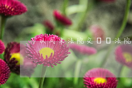 可以周末法院交費嗎(法院有周末嗎)