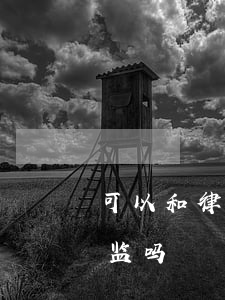 可以和律师一起进去探视吗(律师可以随时探监吗)
