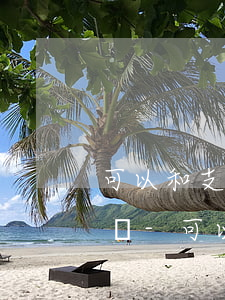 可以和支付寶客服協(xié)商逾期還款嗎-可以和支付寶客服協(xié)商逾期還款嗎