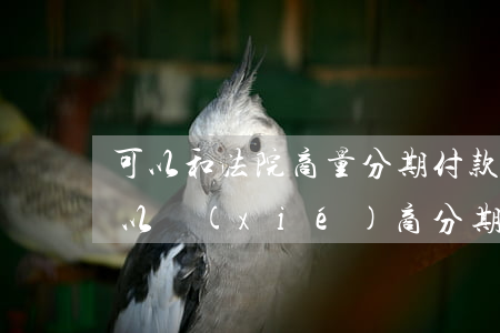 可以和法院商量分期付款嗎(法院判決后還可以協(xié)商分期還款嗎)
